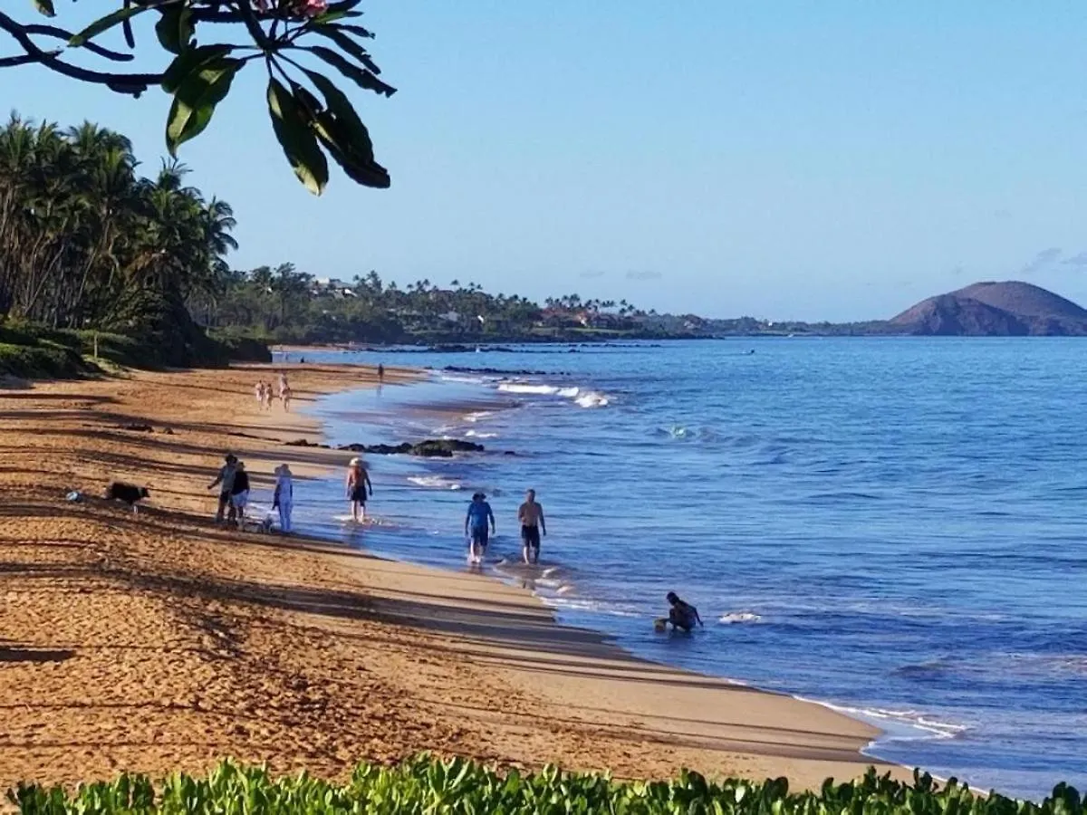 Hale Kamaole 245 Villa Wailea  0*, Wailea (Maui) United States