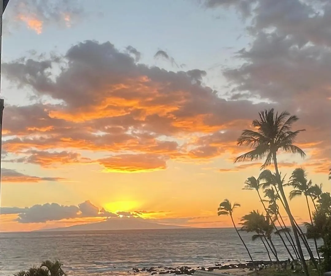 Prázdninový dům Vila Hale Kamaole 245 Wailea  USA